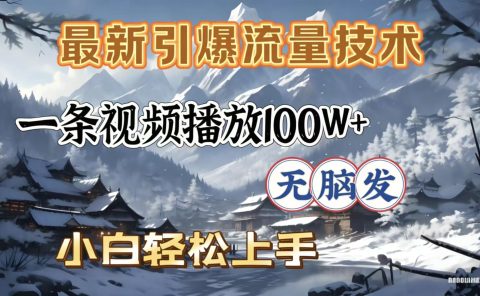 2026年引爆流量技术，一条视频播放100W＋，无脑发，小白轻松上手