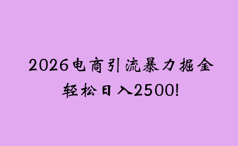 2026电商引流新玩法，日引200 日入2500+