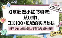 0 基础做小红书引流：从 0 到 1，日加 100 + 私域的实操秘诀