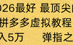拼多多虚拟店懒人运营法：机器人包办回复发货，月入5W+教程！