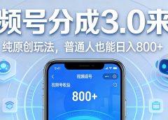视频号分成 3.0 时代：原创玩法，普通人也能日入 800+