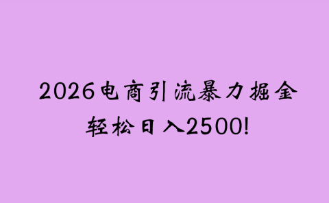 2026电商引流新玩法，日引200，日可入2500+