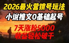 2026最火营销号玩法：小说推文0基础起号，7天涨粉5000，收益轻松破千！