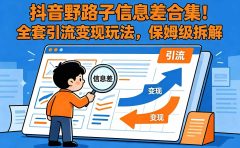 抖音野路子信息差合集！全套引流变现玩法，保姆级拆解
