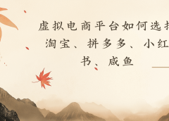 虚拟电商平台，该从哪个平台入手(淘宝、拼多多、小红书)全攻略日入1000！