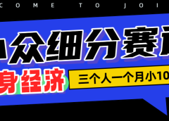 小众流量掘金，三个人一月小10W