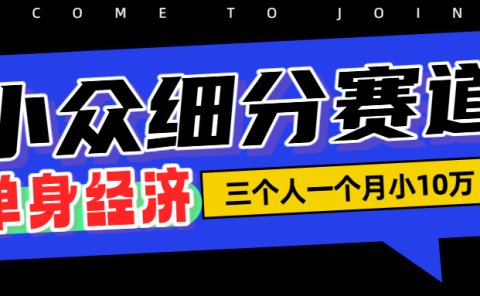 小众流量掘金，三个人一月小10W